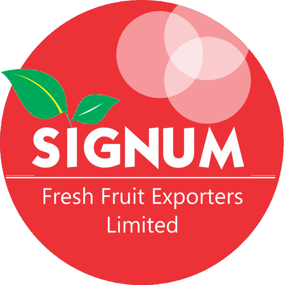 Signum Fresh